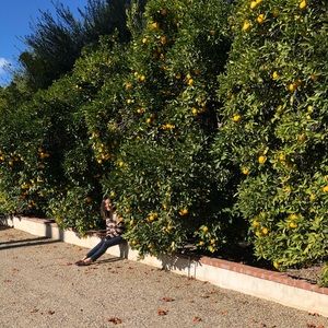 Meet your Posher, Joyce